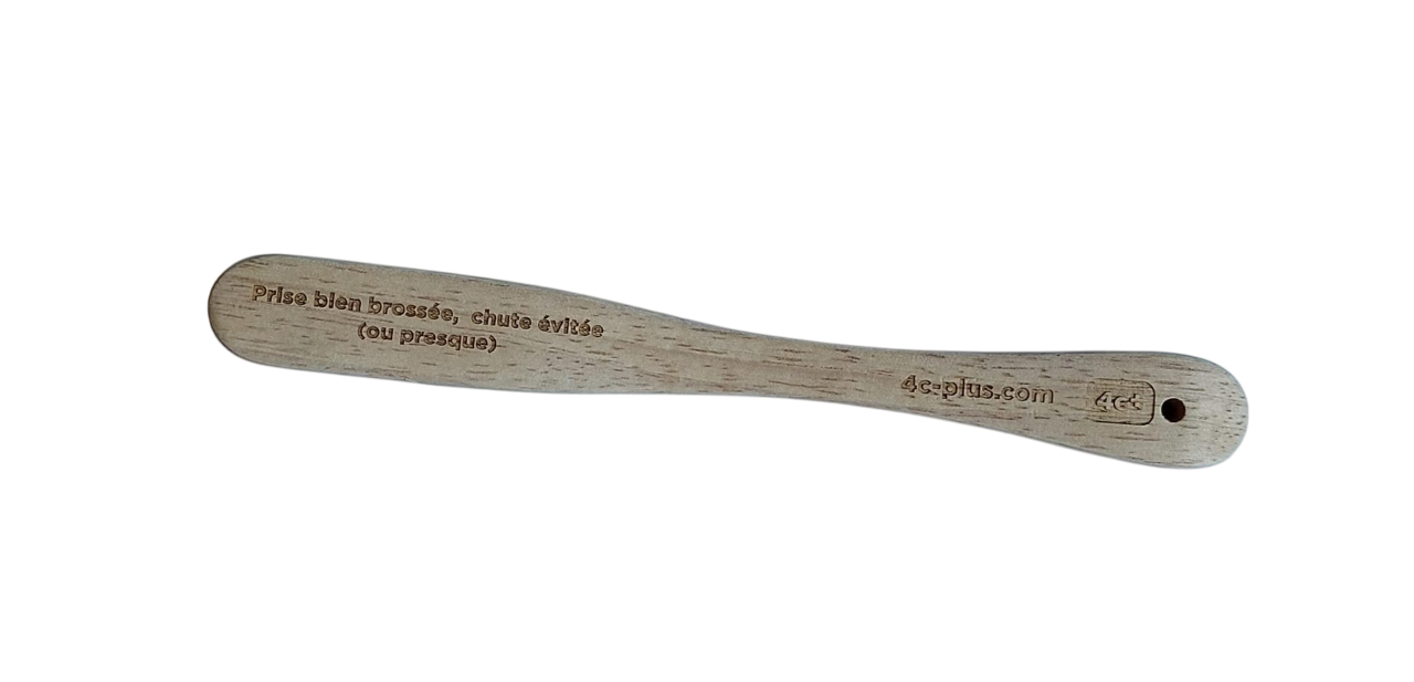 Brosse Ă prises