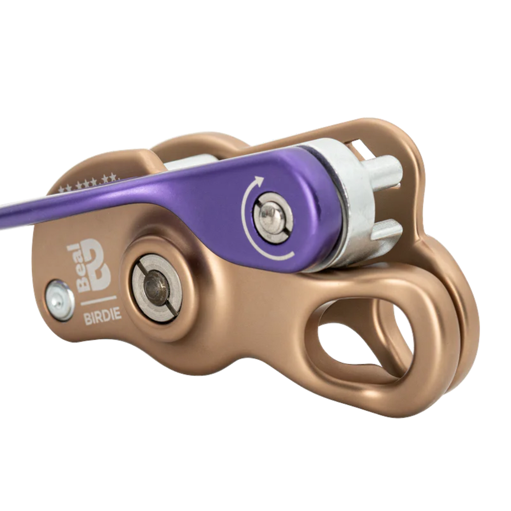 Assureur-descendeur 4c+ Birdie en métal bronze avec levier violet pour escalade sportive