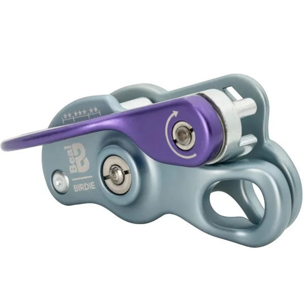 Assureur-descendeur 4c+ Birdie en métal gris et violet pour escalade sportive avec système à came bloquante