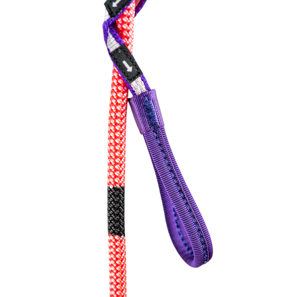 Système de rappel Escaper 4c+ avec sangle violette et corde rouge et blanche pour descente sur un seul brin