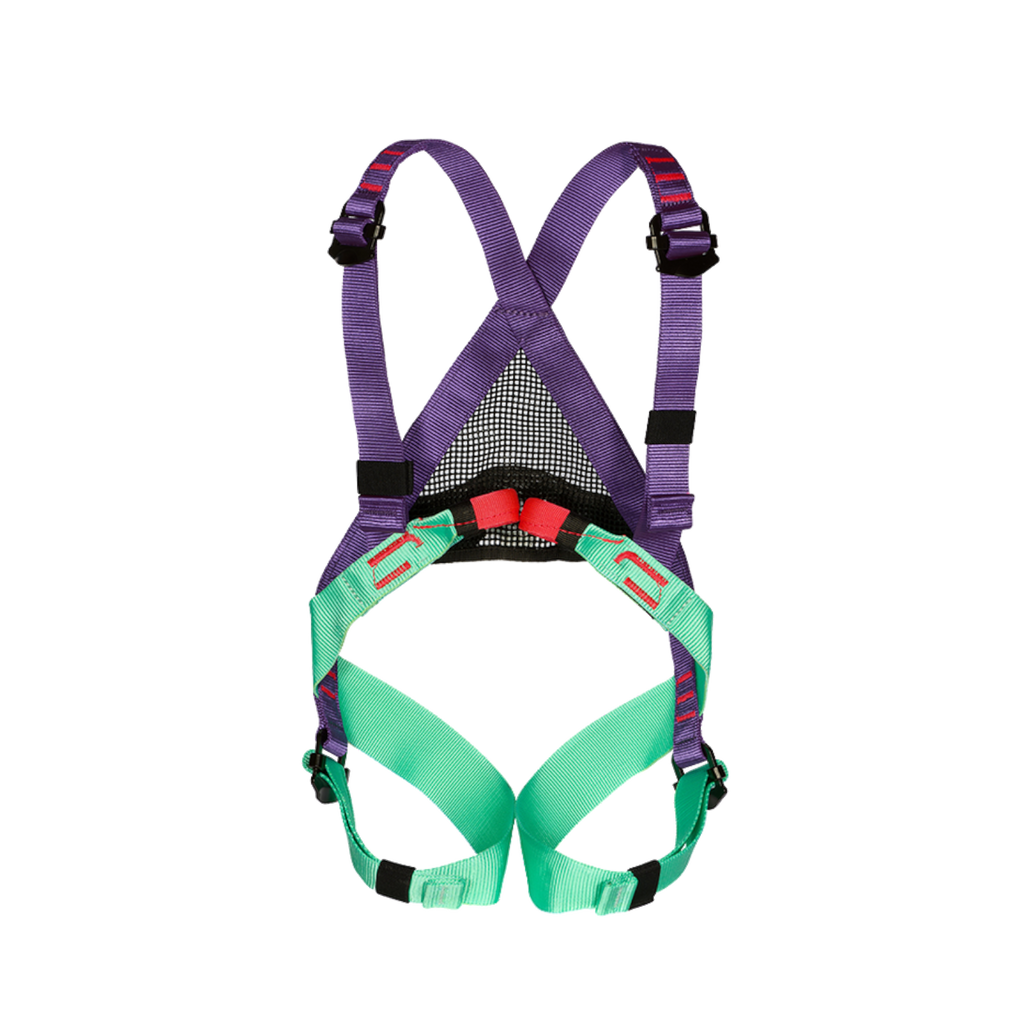 Harnais d'escalade complet pour enfant 4c+ Beal Bambi II violet et vert avec boucles de réglage