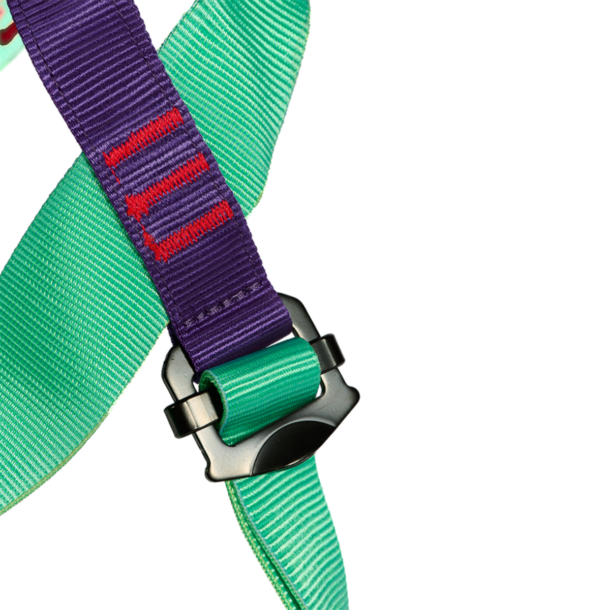 Boucle de réglage noire sur sangle verte et violette du harnais d'escalade pour enfant Beal Bambi II de 4c+