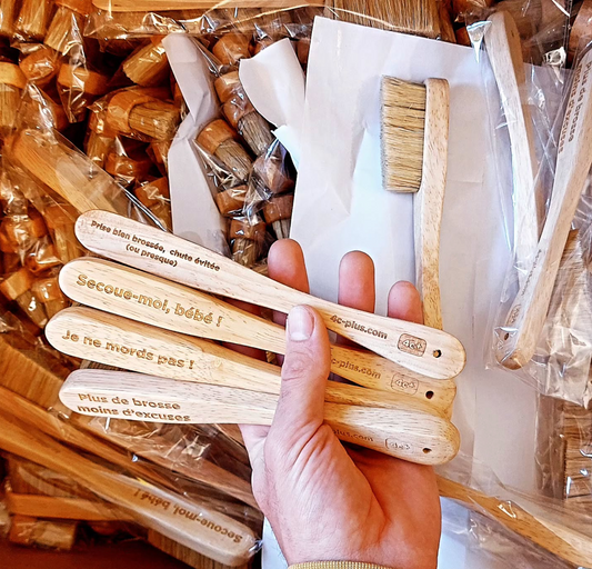 Brosse à prises