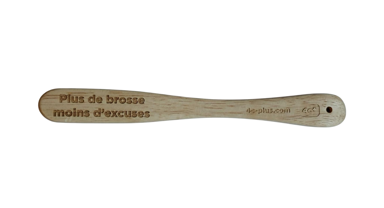 Brosse à prises