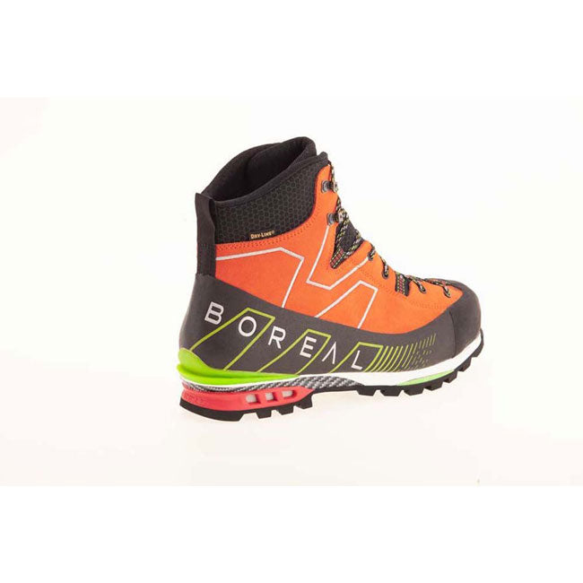 Boreal Brenta